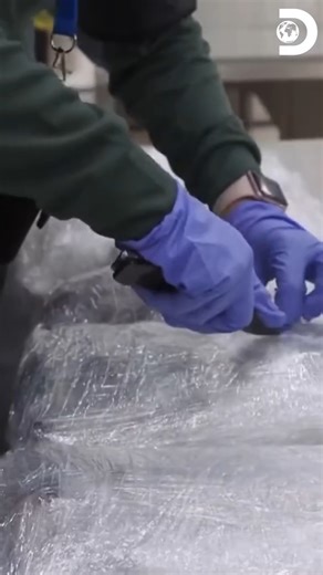 Discovery Latinoamérica on Reels