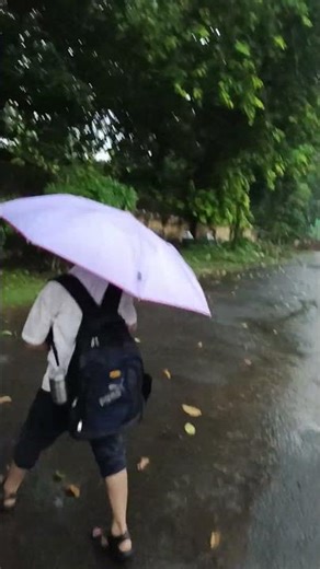 short video#nature #shortfeee #youtuber #vlogging #vlog