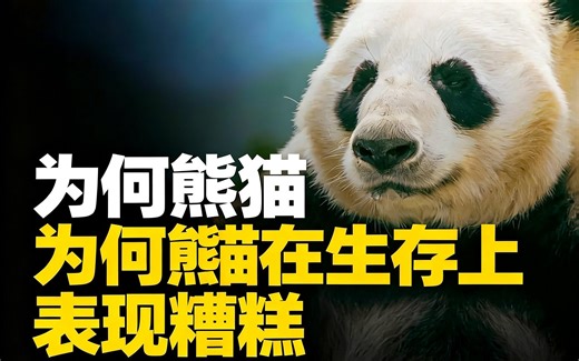 [中配]为何熊猫在生存上表现糟糕 - Real Science