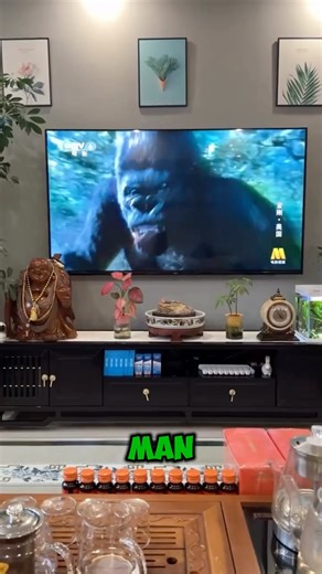 Fish Watching TV Like Humans?! This Is Insane 😱#shorts