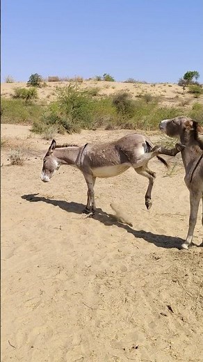 #subscribe #youtubevideos #trendingshorts