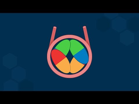 The Structure of Nucleosomes