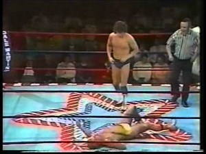 Greg Valentine vs Steve Logan