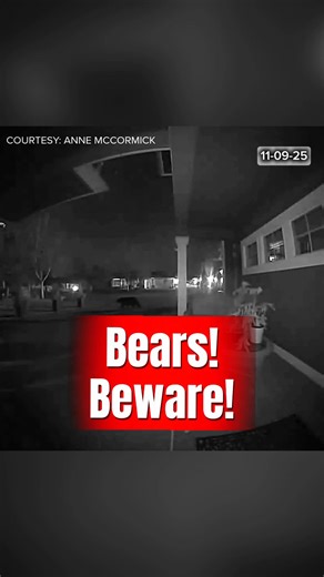 Beware of Bears!