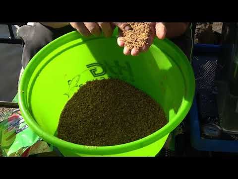 HJG Brassen & Sweet Bream