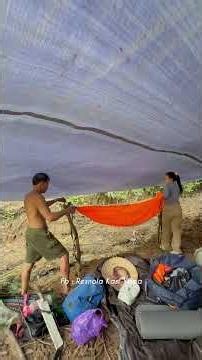 Jungle Survival: Building a Tarp Shelter & Hammock Camp! 🏕️🔥 #Shorts
