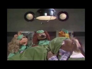 veterinarian's hospital with beauregard