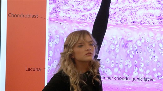 RCC launches histotechnician program with SUNY Cobleskill: What's high-demand job like?