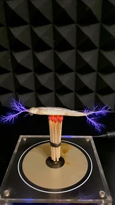 I cook fish using a Tesla Coil😱 #reels #teslacoil #experiment #musik | Kadek Tesla Coil Experiment