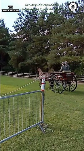 Concours d’International d’Attelage de Tradition (CIAT) 2025 Beamish Museum Clip 27 #horse #shorts