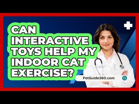 Can Interactive Toys Help My Indoor Cat Exercise?