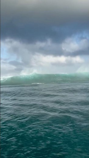 SURFISTA SURFA AO LADO DE GOLFINHOS | UM MOMENTO INCRÍVEL NO OCEANO