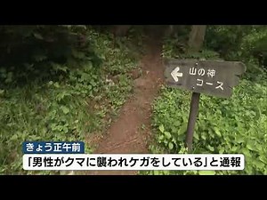 【熊に注意】登山中の男性がクマに襲われケガ…県が「クマ出没警戒注意報」≪新潟≫