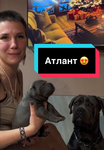 Відео користувача Infinity Glory 🇺🇦 (@infinity_glory_family) з композицією «Chemtrails Over The Country Club - Sepia Tone»