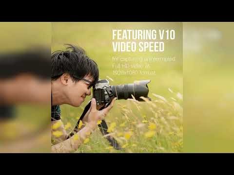 Review: PNY 32GB Elite Class 10 U1 V10 SDHC Flash Memory Card - 100MB/s Read, Class 10, U1 Ful...