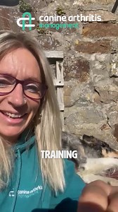 48 reactions · 4 comments | Training an older dog! No dog is too old to learn new tricks! Mental stimulation can be a great way to add variety into the daily routine An impromptu training session whilst out on a walk adds a new challenge for your dog without stressing any of those joints. | Canine Arthritis Management | Facebook