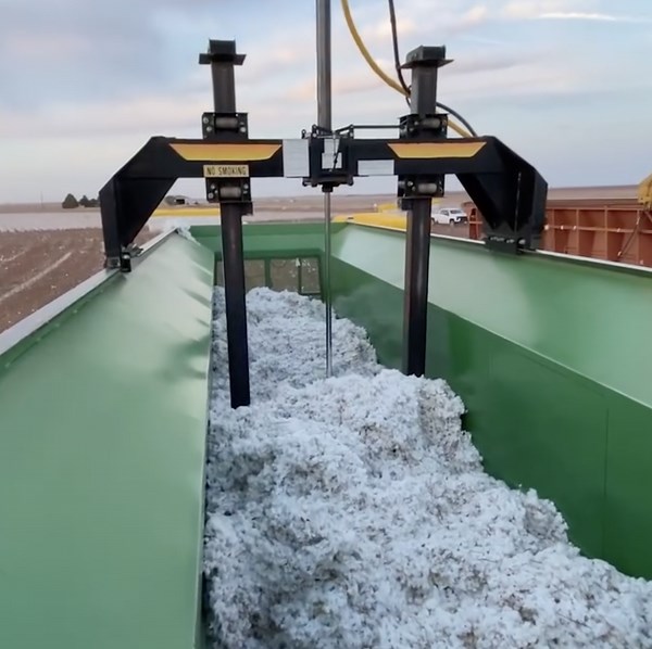 This Is How Cotton Is Made