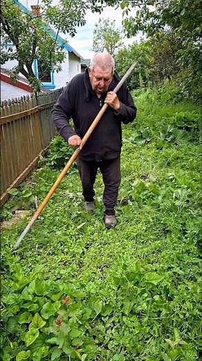 egetation clearing #grasscutting #mowing #homestead #backyard #yardwork #asmr #lawncare #garden