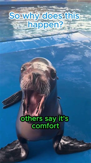 People misunderstood this sound #animaldebate#controversialtakes #emotionalmoment