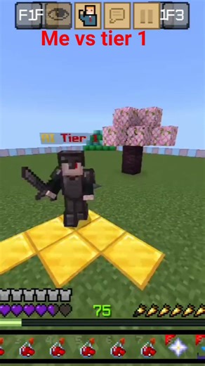me vs tier 1 in net pot #minecraft