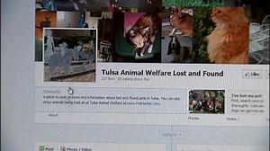 Tulsa Animal Welfare Launches Lost And Found Pets Facebook Page