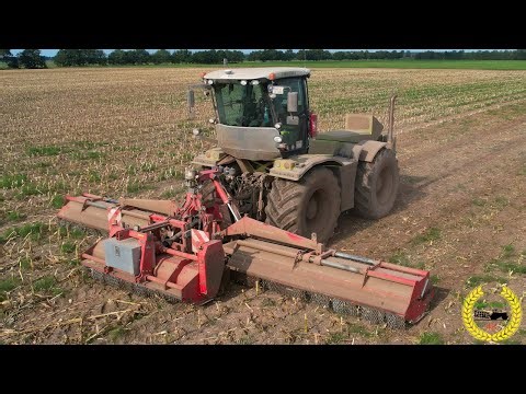 Maisstoppel Mulchen | Claas Xerion 3800 | Sauerburger Pegasus 9500 Mulcher Kombination | LU Hamester