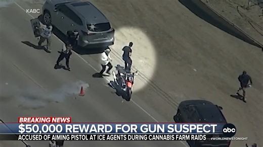 55K views · 987 reactions | The FBI is offering a $50,000 reward for a man who authorities say fired a gun at federal law enforcement officers during an immigration raid on a cannabis farm northwest of Los Angeles. Authorities say about 200 undocumented immigrants were arrested at two cannabis farms. Aaron Katersky has more. https://abcnews.link/vS4k3d0 | ABC World News Tonight with David Muir | Facebook