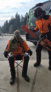 🌳Assessment Test 🤭 #husqvarna #stihl #fyp #comedy #arborist | baum.Art