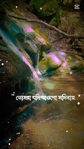 তোমরা যদি জাগো মদিনায়#gojol #shortvideo #foryou #youtubeshorts #trending #love #vairalvideo