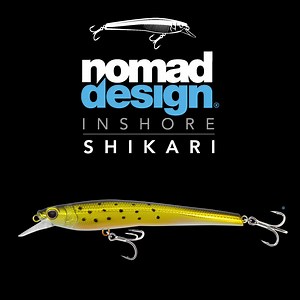 222 reactions · 12 shares | The SHIKARI Inshore – a revolutionary long casting, slow diving jerkbait. It can be twitched hard on the retrieve to produce an erratic action, triggering violent strikes from inshore gamefish. | Nomad Design Tackle | Facebook