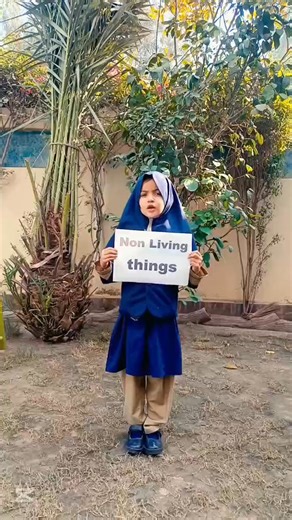 🐱✏️ Through this activity, our Kindergarten students learned the difference between living and non-living things. They identified examples and explained the qualities of living and non-living things. A beautiful demonstration of conceptual and confident learning. #KindergartenLearning #KGClass #ConceptLearning #EarlyYearsEducation #LearningByDoing #LittleLearners #ConfidenceBuilding #schoolactivities #directionschoolalqayyum | Direction Schools Al Qayyum Campus