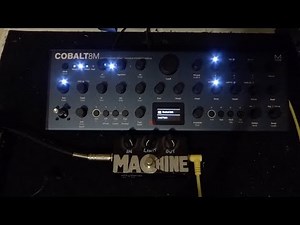 Modal Electronics Cobalt8 & Zvex Machine