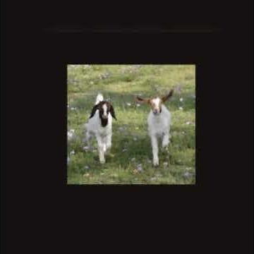 undertale - fallen down (slowed + reverb + muffled)