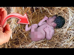 Boys Taking Care of Grandpa’s Farm While He’s in Hospital, Find Abandoned Girl in Barn