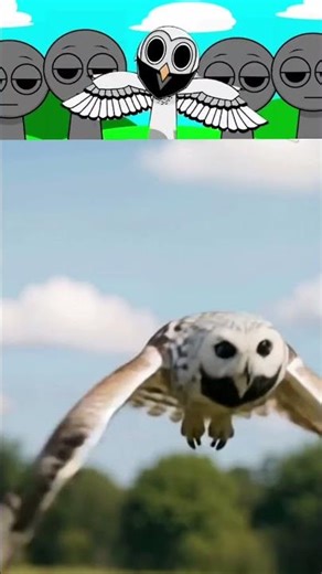 Sprunki_OC Owl Flying In Real Life#sprunki