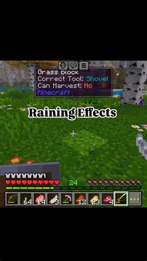 BETTER ON BEDROCK SMP