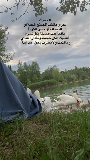 وَأجْعَلْ اللهم نَصِيبِي مِنَ الحَيَاةِ نَصِيبَ طَيْرٍ خَفِيفٍ مُطْمَئِنِّ البَالِ ، يُسَبِّحُ بِحَمْدِكَ وَتَرْزُقُهُ ، يَتَوَكَّلُ عَلَيْكَ وَتَكْفِيهِ#trendingvideo #creatorsearchinsights #اعادة_النشر🔃 #صباح_الخير #fypシ゚