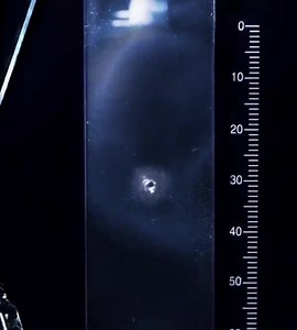 Polarization of light under a microscope 😍 | Physics is Fun 2