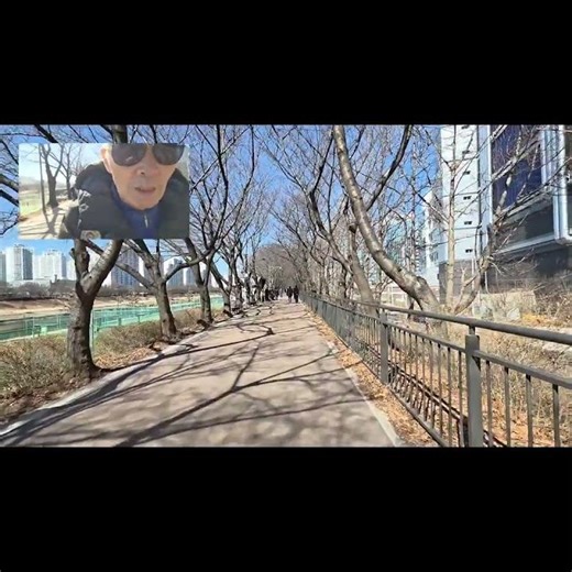 Cherry Blossom Tunnel #mountains #hiking #trekking #travel