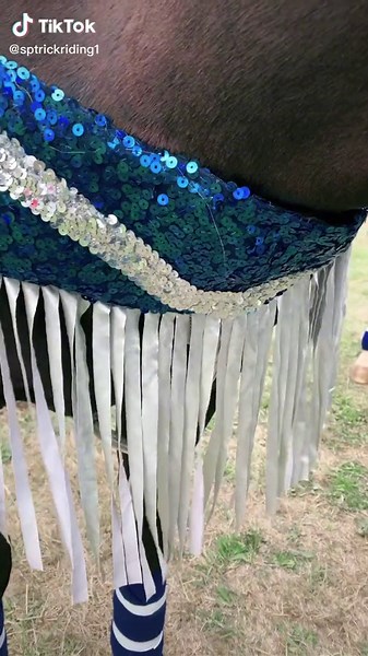 Preview of Horse Costume for Trick Riding and Western Rodeo