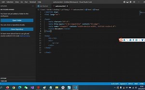 VSCode-2：第一个HTML页面
