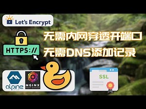 在家搭建网站必备神器！！！完全免费。Nginx Proxy Manager 反向代理，无需在路由器开端口映射，也无需改DNS记录让你的内网网站都用上小锁头，并且外网可以访问。