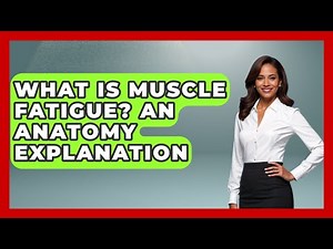 What Is Muscle Fatigue? An Anatomy Explanation - All About Anatomy Answers