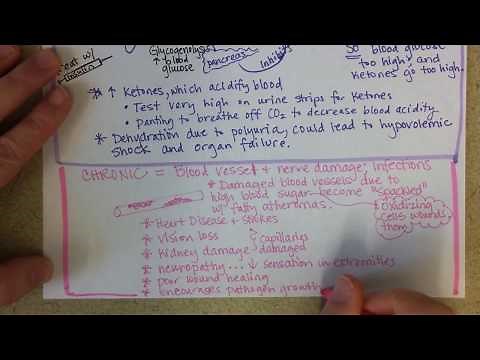 Diabetes: Acute and Chronic Complications