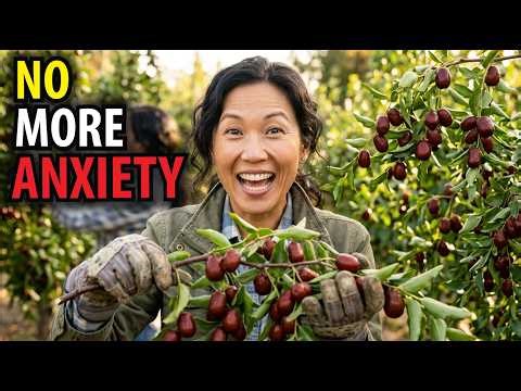 The $2 Tree Big Pharma Hopes You Never Plant In Your Backyard.