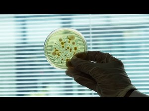 Nanobiotix raises 85 million euros to fight cancer