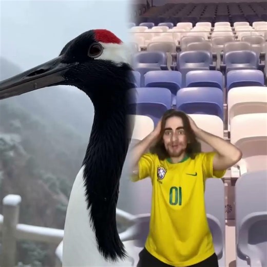 Por favor comparte con tus amigos #pov #herramientas #sketch #gracioso #actuación #historia