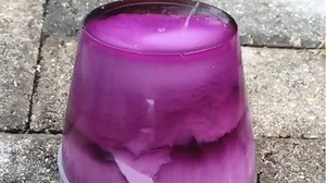 These shower jellies got moves. | Insider