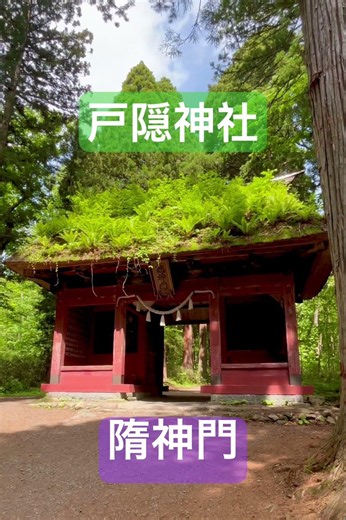 #とほかみえみため #戸隠神社#隋神門#遠隔参拝