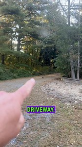 169K views · 3.1K reactions | Angry Creature in My Driveway!  | Garden State Tortoise | Facebook